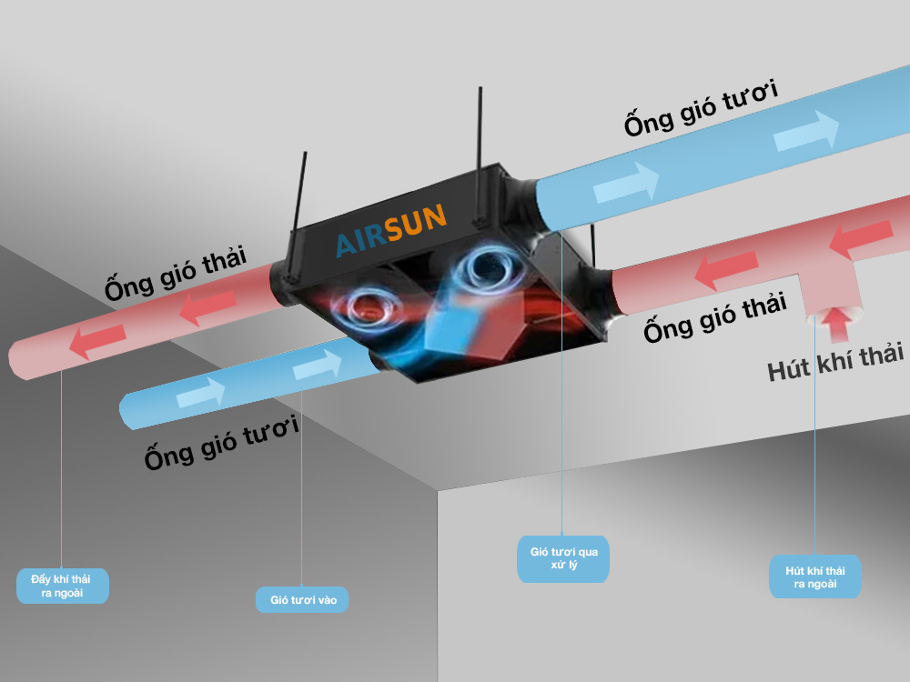 Nguyên lý hoạt động máy cấp khí tươi AIRSUN
