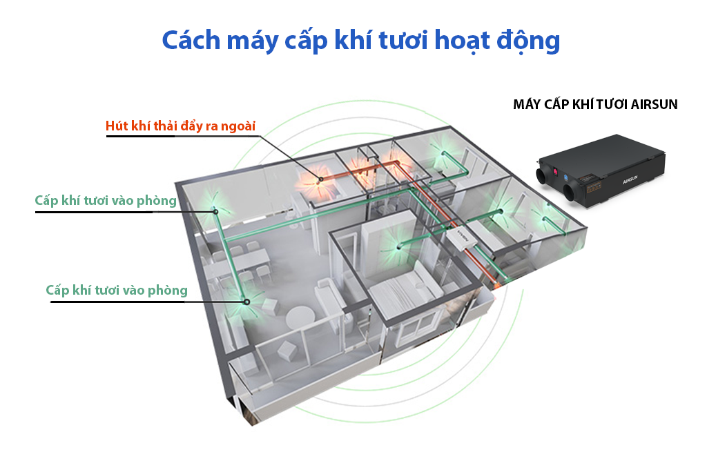 Cách máy cấp khí tươi hoạt động