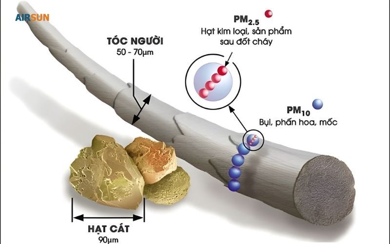 Bụi mịn PM sản sinh từ khói khí thải, phấn hoa