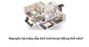 Nguyên lý máy cấp khí tươi hoạt động thế nào?