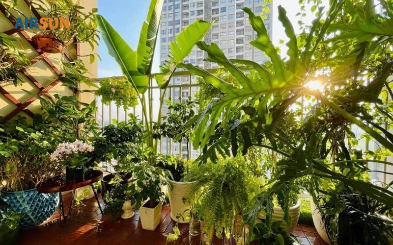 Trồng nhiều cây cao chắn ban công cũng cản gió đối lưu