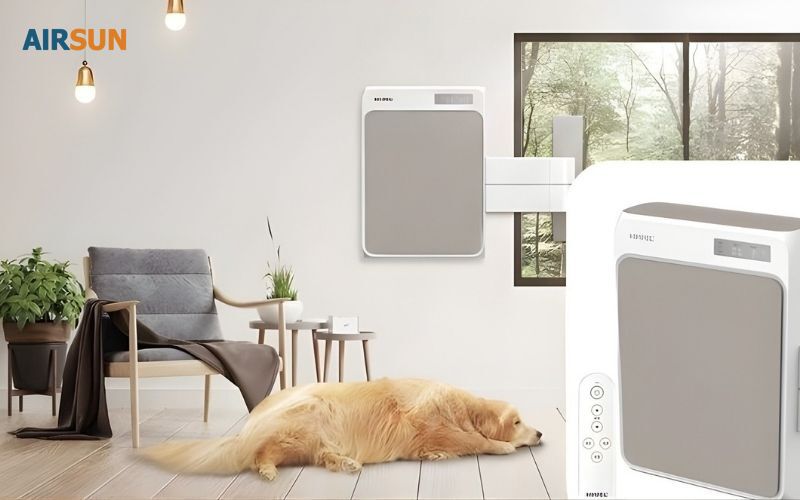 Máy gắn tường chỉ cấp khí cho một phòng