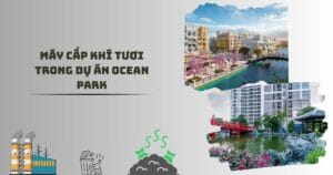 Sử dụng máy cấp khí tươi trong dự án Ocean park cần quan tâm điều gì?
