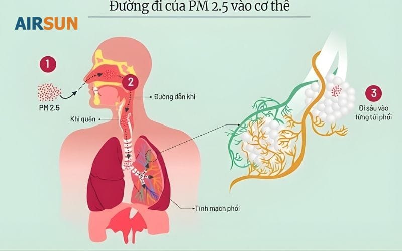 Bụi mịn đi nhanh vào từng ngách cơ quan