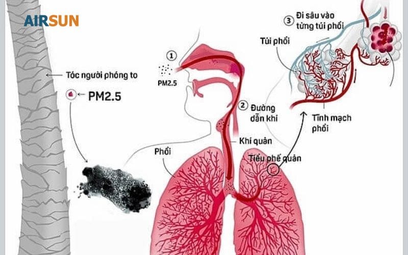 Người khoẻ mạnh cũng không chống chọi được thời tiết xấu nàyâ