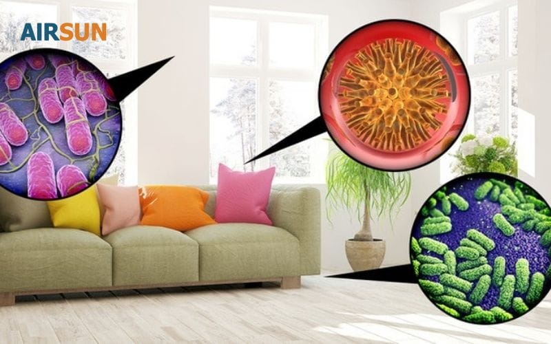 Vi khuẩn, mạt bụi khó vệ sinh