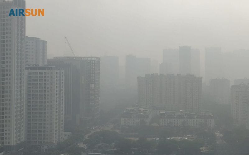 Cây xanh không thể chống lại được với mức độ ô nhiễm nặng