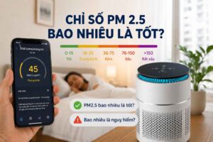 Chỉ số PM2.5 bao nhiêu là tốt